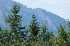 Vysoké Tatry 2018 445