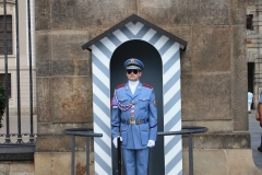 České Švýcarsko 590