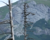 Vysoké Tatry 2018 520