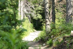Vysoké Tatry 2018 507