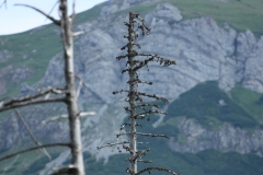 Vysoké Tatry 2018 520