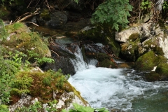 Vysoké Tatry 2018 523