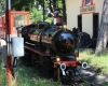Vídeň 23.07.2016 145