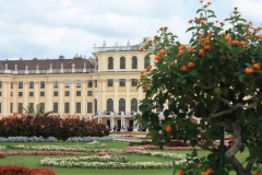 Vídeň 23.07.2016 101