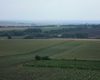 Hodonínsko 021