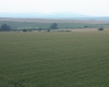 Hodonínsko 022
