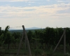 Hodonínsko 044