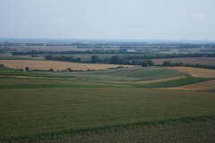 Hodonínsko 016
