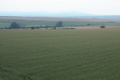 Hodonínsko 022