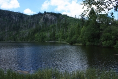 Plešné jezero 043