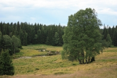 Poledník Alžbětín 001