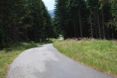 Poledník Alžbětín 011