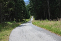 Poledník Alžbětín 012