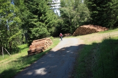 Poledník Alžbětín 069