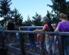 Stezka korunami stromů - Lipno 015