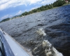 Stezka korunami stromů - Lipno 063
