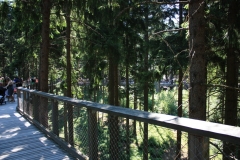 Stezka korunami stromů - Lipno 004