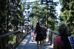 Stezka korunami stromů - Lipno 005
