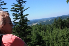 Stezka korunami stromů - Lipno 010