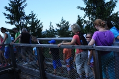 Stezka korunami stromů - Lipno 015