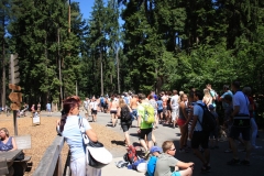 Stezka korunami stromů - Lipno 054