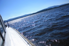 Stezka korunami stromů - Lipno 062