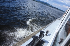 Stezka korunami stromů - Lipno 070