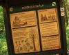 Stožecká skála a Nové Údolí 003
