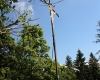 Stožecká skála a Nové Údolí 018
