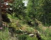 Šumava 202