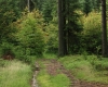 Šumava 241