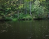 Šumava 265