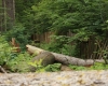Šumava 270