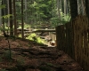 Šumava 273