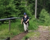 Šumava 315