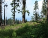 Šumava 319