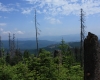 Šumava 379