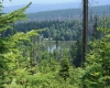 Šumava 386