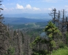 Šumava 413