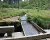 Šumava 447