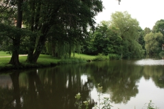 Šumava 027
