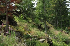 Šumava 202