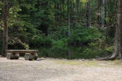Šumava 264