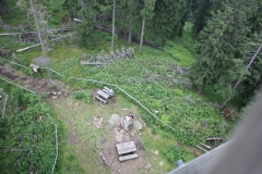 Šumava 329