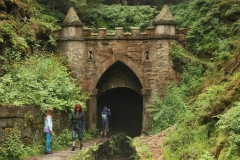 Šumava 345