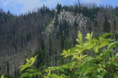 Šumava 360