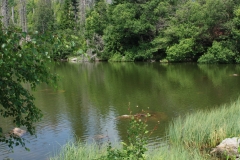 Šumava 363