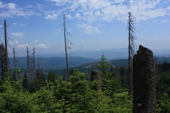 Šumava 379
