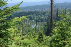 Šumava 386
