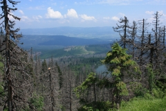 Šumava 413